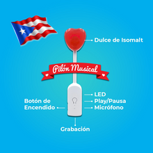 Cargar imagen en el visor de la galería, La Voli PR Pencil Box